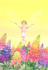 187ルピナスの調べ(ポストカード)