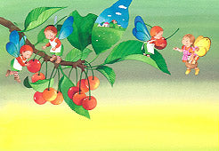 192さくらんぼはいかが?(ポストカード)