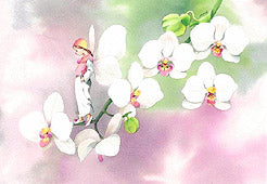 203胡蝶(ポストカード)