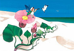 208みつけた(ポストカード)