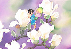 213白い花の里(ポストカード)