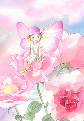 222レディー・ローズ(ポストカード)