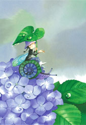 273あじさい色の雨あがり(ポストカード)