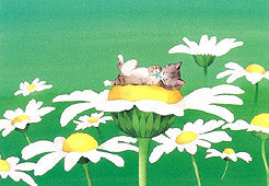 028ひなたぼっこねこ(ポストカード)