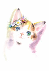 091あこがれ(ポストカード)