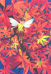 244紅葉の梢で（ポストカード）