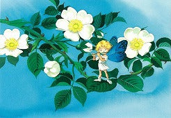 277野ばらのステージ（ポストカード）